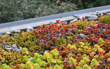 the cost of Ewerby Thorpe green roof installation