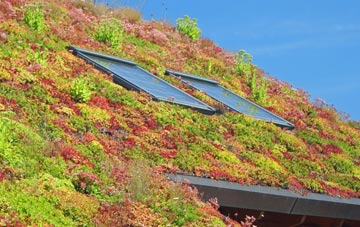 Ewerby Thorpe living roof systems